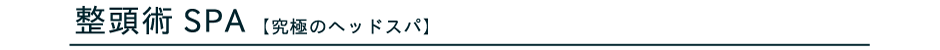 整頭術（せいとうじゅつ）SPA 究極のヘッドスパ