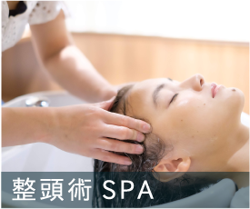 整頭術spa